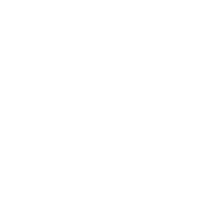logo 4ng